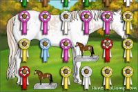 Horse Color:White Spotted Smoky Creme 