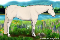 Horse Color:Perlino Rabicano 