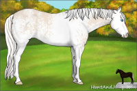 Horse Color:White Spotted Silver Smoky Creme 