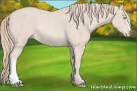 Horse Color:Smoky Creme Rabicano