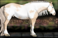 Horse Color:Chocolate Palomino Pearl Frame 