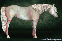Horse Color:Chocolate Palomino Ice Splash 