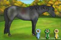Horse Color:Brown 