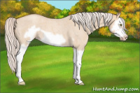 Horse Color:Silver Sable Champagne Roan Dun Splash Frame 