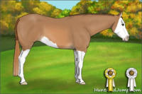 Horse Color:Chestnut Splash