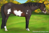 Horse Color:Brown Frame 