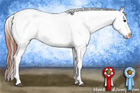 Horse Color:White Spotted Bay Dun Frame Blanket 