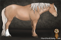 Horse Color:Silver Black Pearl