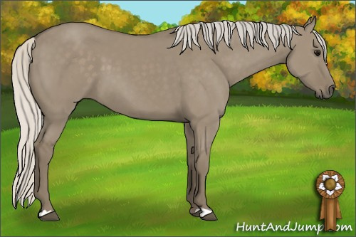 Horse Color: Unknown 