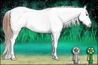 Horse Color:Classic Champagne Splash Appaloosa 