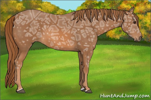 Horse Color: Chestnut Ice 
