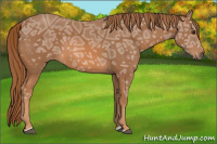 Horse Color:Chestnut Ice