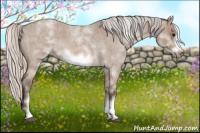 Horse Color:White Spotted Silver Brown Roan Dun Frame Rabicano 