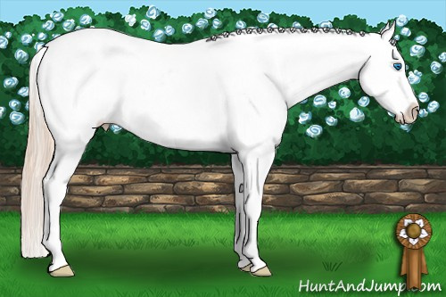 Horse Color: Chocolate Palomino Splash Varnish 