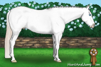 Horse Color:Chocolate Palomino Splash Varnish 