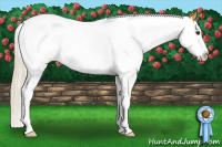 Horse Color:Palomino Splash 