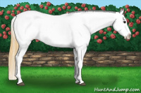 Horse Color:Smoky Black Tobiano Appaloosa 