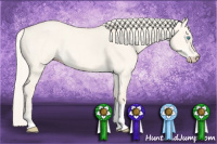 Horse Color:Cremello Dun Tobiano 