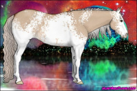 Horse Color:White Spotted Silver Bay Dun 