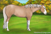 Horse Color:Silver Black Pearl Splash Rabicano 