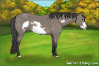 Horse Color:Brown Frame 