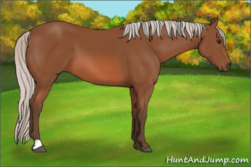 Horse Color: Silver Bay 