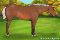 Horse Color:Silver Bay 