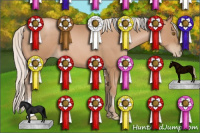 Horse Color:Silver Black Pearl Sabino