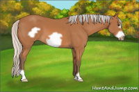 Horse Color:Silver Bay Frame 