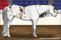 Horse Color:Brown Sabino 