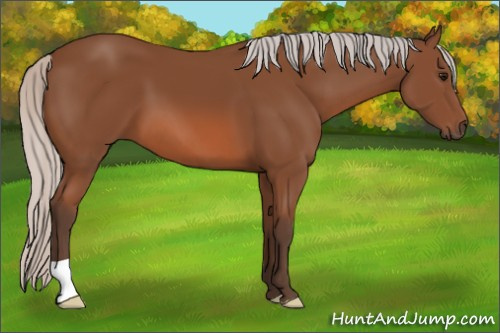 Horse Color: Silver Bay 