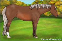 Horse Color:Silver Bay 