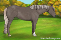 Horse Color:Silver Black 
