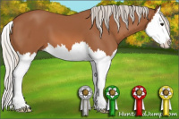 Horse Color:Silver Bay Splash 