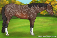 Horse Color:Bay Ice 