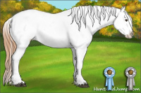 Horse Color:Chestnut Snowcap 