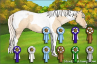 Horse Color:Silver Buckskin Pearl Dun Tobiano 