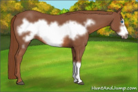 Horse Color:Liver Chestnut Frame 