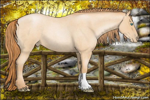 Horse Color: Buckskin Roan Pearl 