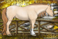 Horse Color:Buckskin Roan Pearl 