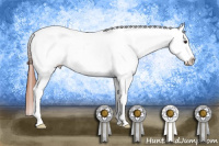 Horse Color:Bay Roan Dun Tobiano Appaloosa Rabicano 