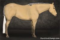 Horse Color:Silver Buckskin 