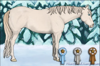 Horse Color:Perlino 