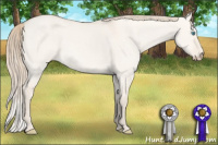 Horse Color:Perlino Dun 