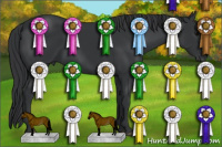 Horse Color:Black Rabicano 