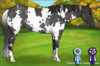 Horse Color:White Spotted Smoky Blue Roan Rabicano 