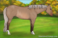Horse Color:Silver Brown Dun Rabicano