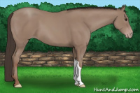 Horse Color:Classic Champagne 