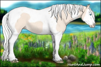 Horse Color:Silver Perlino Splash Tobiano 