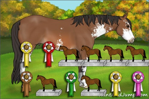 Horse Color: Bay Sabino 